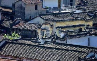 芹川古村在哪？芹川古村景点介绍