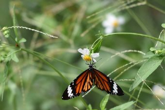 孤山景區(qū)在哪？孤山景區(qū)景點(diǎn)介紹