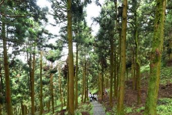 三台山景区在哪？三台山景区景点介绍