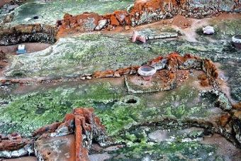 西漢楚王墓群在哪？西漢楚王墓群景點介紹