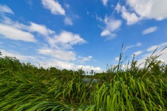 昆山阳澄东湖湿地公园在哪？昆山阳澄东湖湿地公园景点介绍