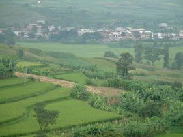 高家庄在哪？高家庄景点介绍