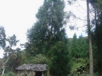 红军挺进师与浙南红军游击队会师地旧址在哪?红军挺进师与浙南红军游击队会师地旧址景点介绍