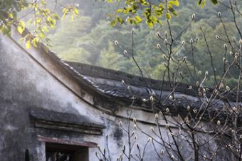 河头村在哪？河头村景点介绍