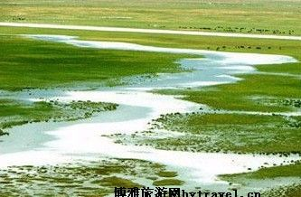 滩涂湿地在哪？滩涂湿地景点介绍