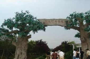 苏北花卉示范园在哪？苏北花卉示范园景点介绍