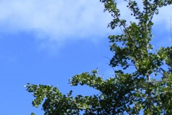 徐州乾隆行宫遗址景区在哪?徐州乾隆行宫遗址景区景点介绍