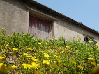 总台山在哪？总台山景点介绍