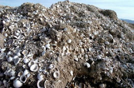 贝壳梁在哪？贝壳梁景点介绍