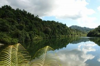 天井山國家森林公園在哪？天井山國家森林公園景點介紹
