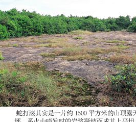 蛇打滾在哪？蛇打滾景點介紹