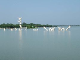 龙湖在哪？龙湖景点介绍