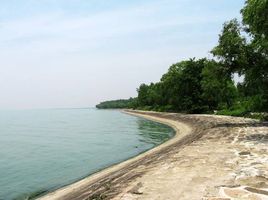 周桥大塘在哪?周桥大塘景点介绍