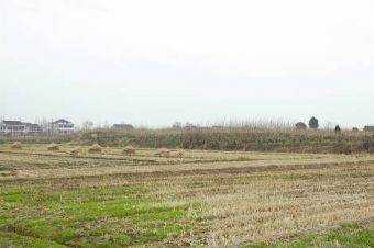 刘家墩遗址在哪？刘家墩遗址景点介绍