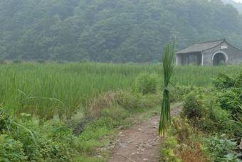 永峰亭在哪？永峰亭景点介绍