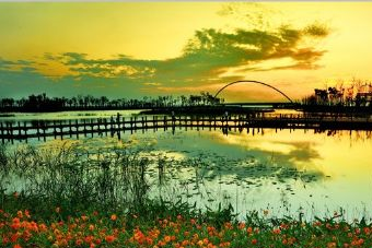 罗曼园在哪？罗曼园景点介绍