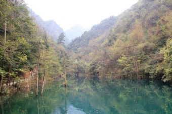 丽水镜湖在哪？丽水镜湖景点介绍