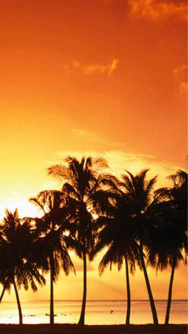 椰子洲岛在哪？椰子洲岛景点介绍