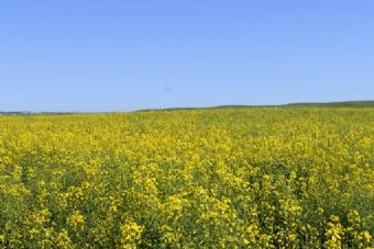 永丰林农业生态园在哪?永丰林农业生态园景点介绍