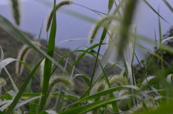 北仑森林植物园在哪？北仑森林植物园景点介绍