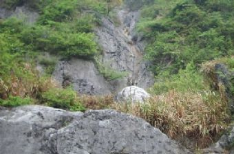 纪龙山在哪？纪龙山景点介绍