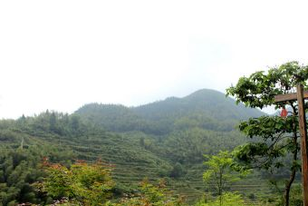 白银谷景区在哪？白银谷景区景点介绍