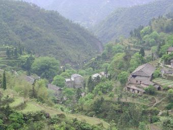 红色村庄黄山村在哪？红色村庄黄山村景点介绍