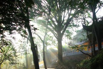 穹窿山宁邦寺在哪？穹窿山宁邦寺景点介绍