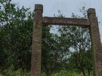 陈宗问墓道在哪？陈宗问墓道景点介绍