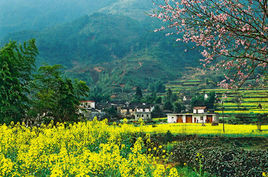 铜锣山遗址在哪？铜锣山遗址景点介绍