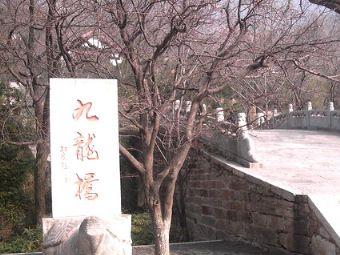 九龍橋在哪？九龍橋景點(diǎn)介紹