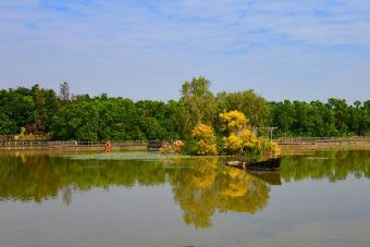 洪泽湖湿地观鸟园在哪?洪泽湖湿地观鸟园景点介绍