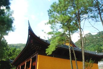 江蘇大陽山國家森林公園在哪？江蘇大陽山國家森林公園景點介紹