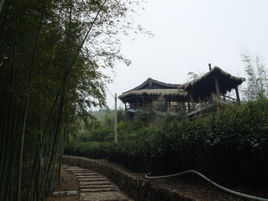 径山古道在哪？径山古道景点介绍