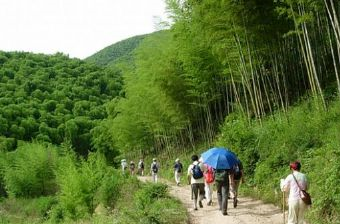 碧塢龍潭在哪？碧塢龍潭景點介紹