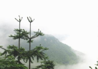 后山景区在哪？后山景区景点介绍