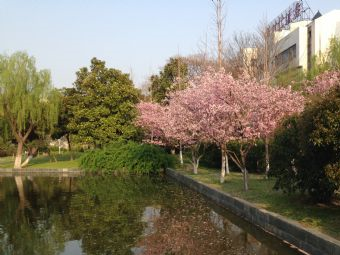 明月公园在哪？明月公园景点介绍