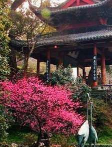 放鹤亭在哪？放鹤亭景点介绍