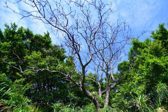 高邮湖芦苇荡湿地公园在哪？高邮湖芦苇荡湿地公园景点介绍