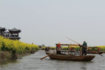 千岛菜花风景区 千垛景区在哪？千垛景区（千岛菜花风景区）景点介绍