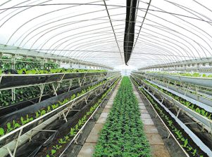 長河鎮(zhèn)生態(tài)農業(yè)園區(qū)在哪？長河鎮(zhèn)生態(tài)農業(yè)園區(qū)景點介紹