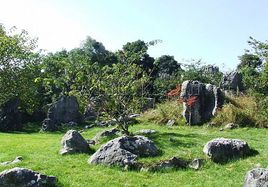 奇风洞在哪？奇风洞景点介绍