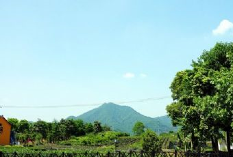 龍塢裕安茶莊在哪？龍塢裕安茶莊景點(diǎn)介紹