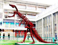 长江大学石油科技博物馆在哪？长江大学石油科技博物馆景点介绍