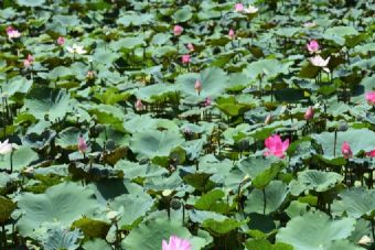 白龙潭水上乐园在哪？白龙潭水上乐园景点介绍