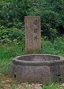 婆留井在哪？婆留井景点介绍