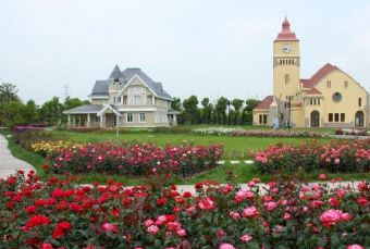 太仓恩钿月季公园在哪？太仓恩钿月季公园景点介绍