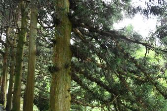 化安山自然历史文化保护区在哪?化安山自然历史文化保护区景点介绍