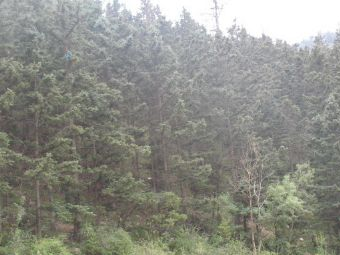 挺进师与浙南红军游击队会师遗址在哪？挺进师与浙南红军游击队会师遗址景点介绍