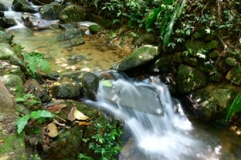 东明山森林公园在哪？东明山森林公园景点介绍
